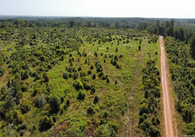 Photo 1 of Land for sale at 9515 County Rd 817, Nacogdoches, TX 75964 | MLS# 2015017 | Listing updated on 2026-09-19