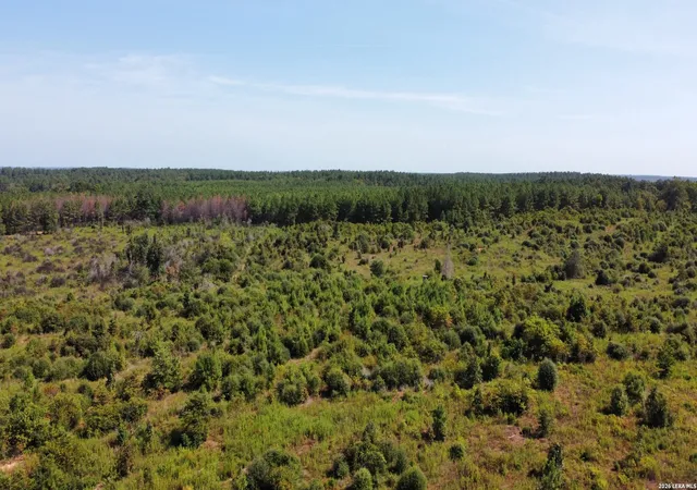 Photo 2 of Land for sale at 9515 County Rd 817, Nacogdoches, TX 75964 | MLS# 2015017 | Listing updated on 2026-09-19
