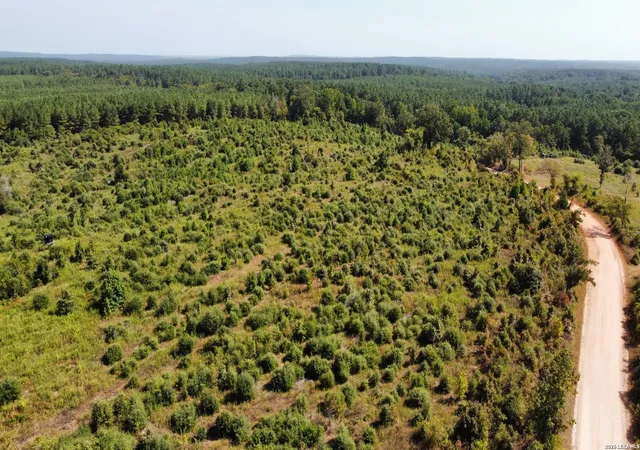 Photo 3 of Land for sale at 9515 County Rd 817, Nacogdoches, TX 75964 | MLS# 2015017 | Listing updated on 2026-09-19