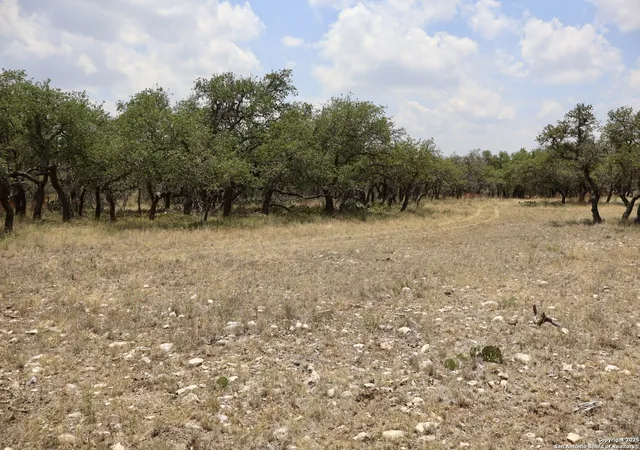 Photo 4 of Land for sale at 25 Dallas Josie Rd, Harper, TX 78631 | MLS# 2015047 | Listing updated on 2026-09-19