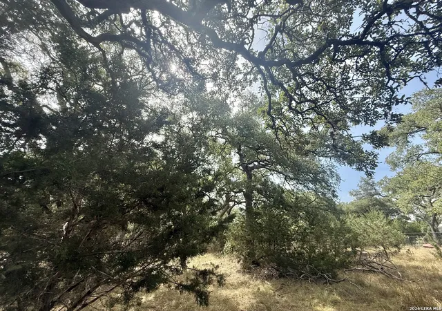Photo 2 of Land for sale at 102 Denson Belk, Blanco, TX 78606 | MLS# 2015133 | Listing updated on 2026-09-19