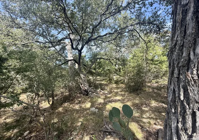 Photo 3 of Land for sale at 102 Denson Belk, Blanco, TX 78606 | MLS# 2015133 | Listing updated on 2026-09-19