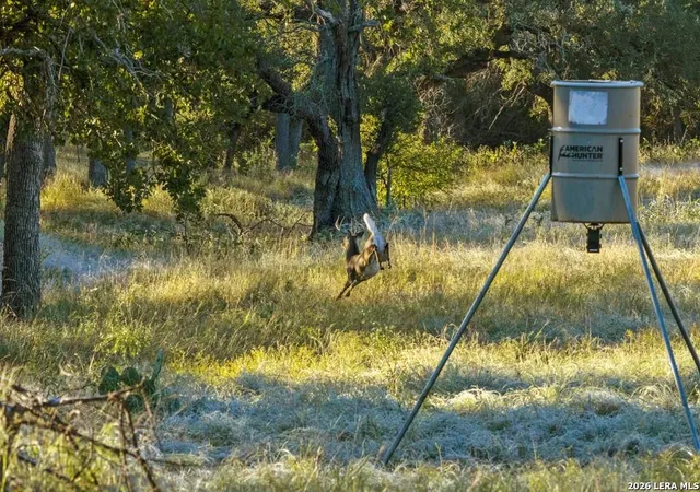 Land for sale at 307 Gold Schaefer Rd, Fredericksburg, TX 78624 | MLS# 2015243