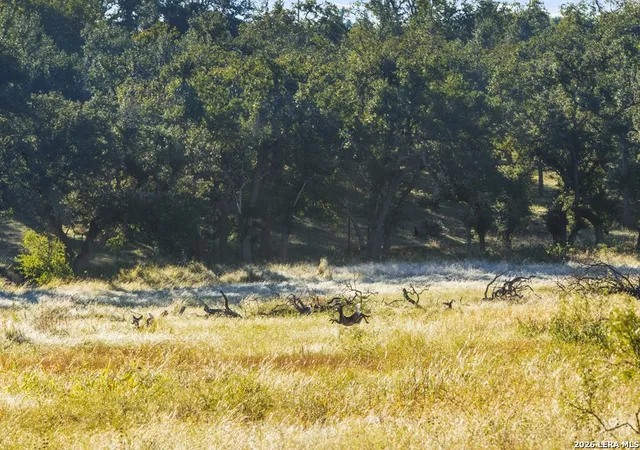 Photo 3 of Land for sale at 307 Gold Schaefer Rd, Fredericksburg, TX 78624 | MLS# 2015243 | Listing updated on 2026-09-20