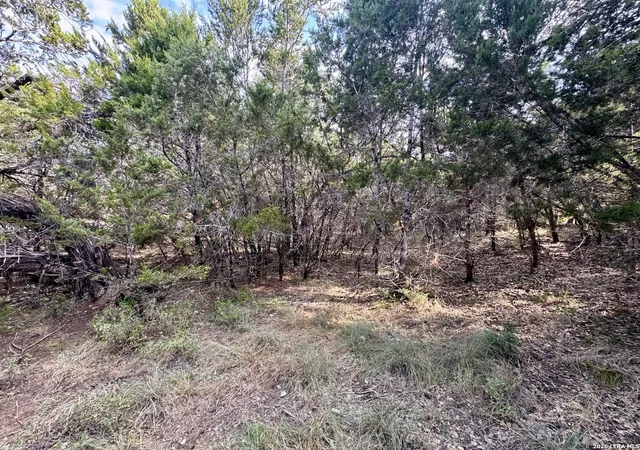 Photo 2 of Land for sale at 462 W Overlook Dr, Canyon Lake, TX 78133 | MLS# 2015259 | Listing updated on 2026-09-09