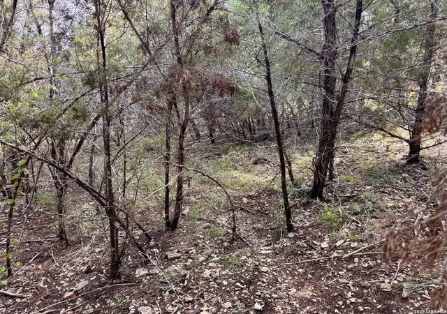Photo 2 of Land for sale at 462 W Overlook Dr, Canyon Lake, TX 78133 | MLS# 2015259 | Listing updated on 2026-09-09
