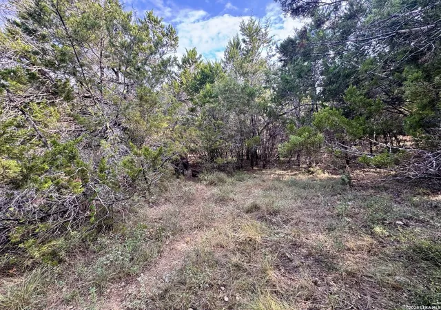 Photo 3 of Land for sale at 462 W Overlook Dr, Canyon Lake, TX 78133 | MLS# 2015259 | Listing updated on 2026-09-09