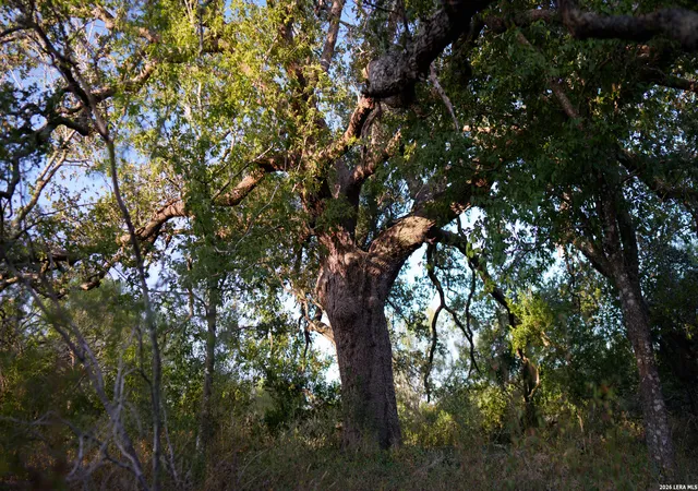 Photo 4 of Land for sale at 13050 Fm 1346, St. Hedwig, TX 78152 | MLS# 2015296 | Listing updated on 2026-09-30