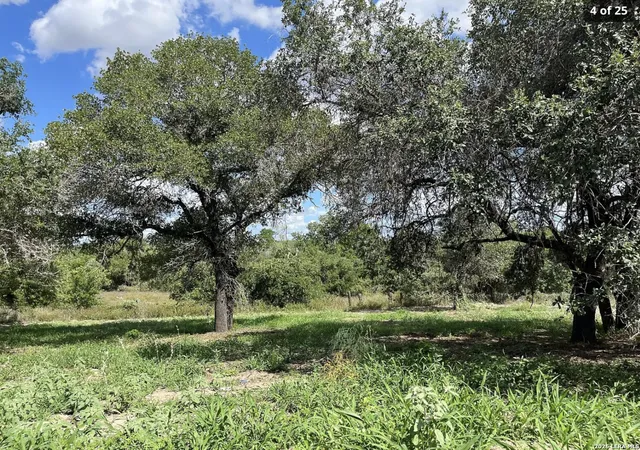 Land for sale at 497 County Rd 124, Floresville, TX 78114 | MLS# 2015507