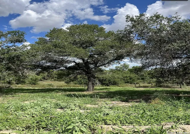 Photo 3 of Land for sale at 497 County Rd 124, Floresville, TX 78114 | MLS# 2015507 | Listing updated on 2026-09-10