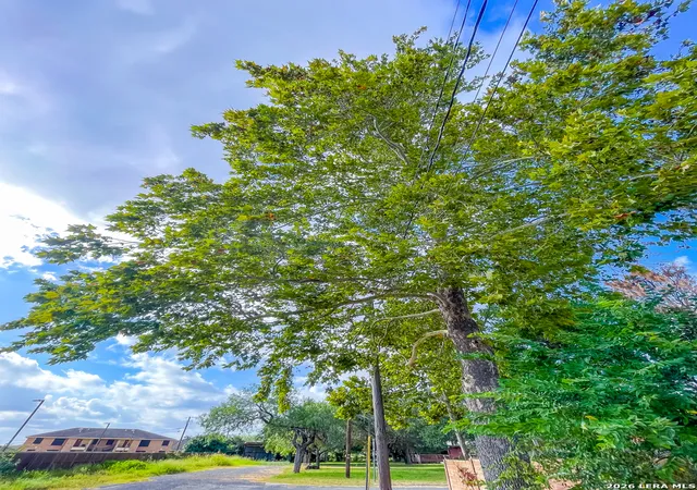 Photo 29 of Single family home for sale at 212 S Hall St, Beeville, TX 78102 | MLS# 2016176 | Listing updated on 2026-09-23