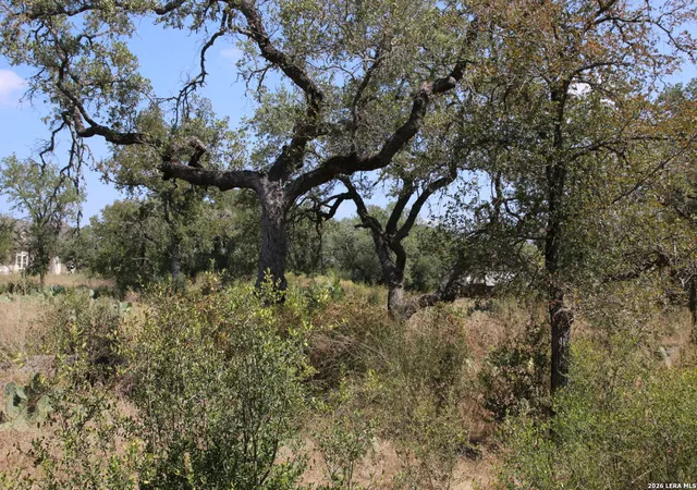 Land for sale at Tbd Stone Loop, Castroville, TX 78009 | MLS# 2016217