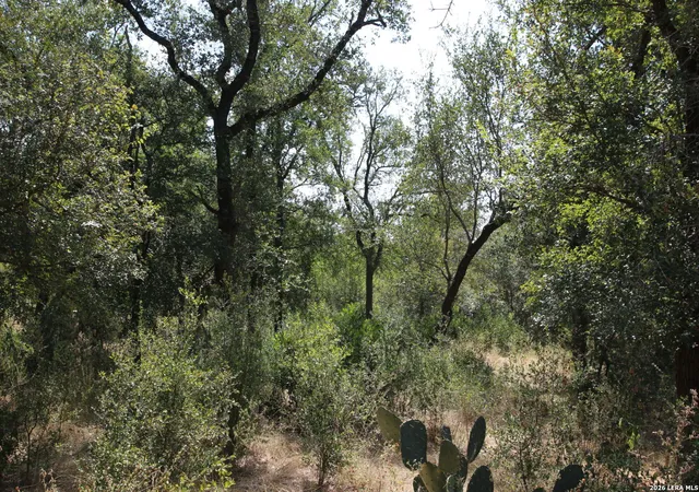 Photo 2 of Land for sale at Tbd Stone Loop, Castroville, TX 78009 | MLS# 2016217 | Listing updated on 2026-09-23