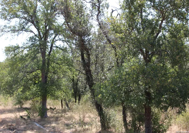 Photo 3 of Land for sale at Tbd Stone Loop, Castroville, TX 78009 | MLS# 2016217 | Listing updated on 2026-09-23