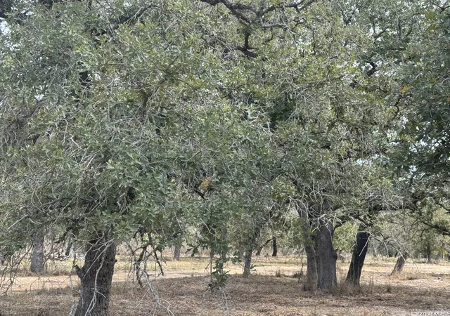 Photo 1 of Land for sale at 190 Deer Park Rd, La Vernia, TX 78121 | MLS# 2016698 | Listing updated on 2026-09-26