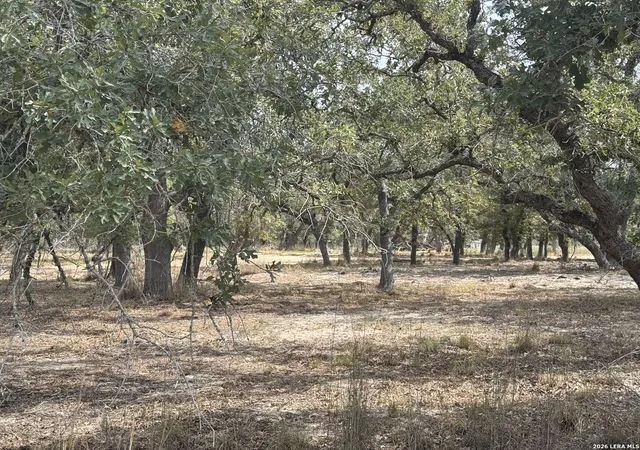 Photo 2 of Land for sale at 190 Deer Park Rd, La Vernia, TX 78121 | MLS# 2016698 | Listing updated on 2026-09-26