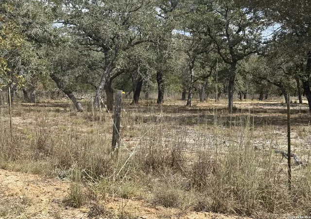 Photo 3 of Land for sale at 190 Deer Park Rd, La Vernia, TX 78121 | MLS# 2016698 | Listing updated on 2026-09-26