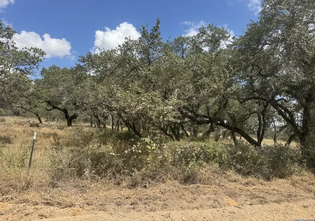 Photo 4 of Land for sale at 11633 W Fm 476, Somerset, TX 78069 | MLS# 2016804 | Listing updated on 2026-09-19