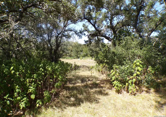 Photo 2 of Land for sale at 31401 Smithson Valley, Bulverde, TX 78163 | MLS# 2016971 | Listing updated on 2026-09-27
