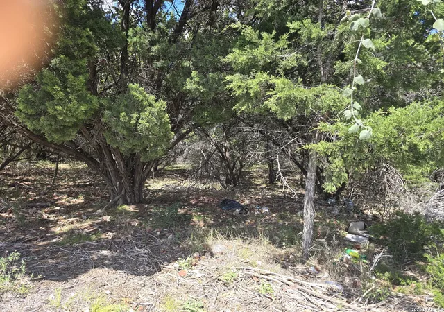 Photo 2 of Land for sale at 0 State Hwy 46, Boerne, TX 78004 | MLS# 2017008 | Listing updated on 2026-09-27