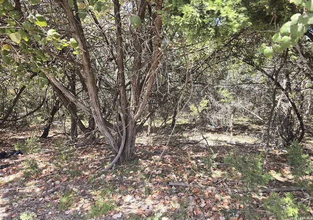 Photo 3 of Land for sale at 0 State Hwy 46, Boerne, TX 78004 | MLS# 2017008 | Listing updated on 2026-09-27