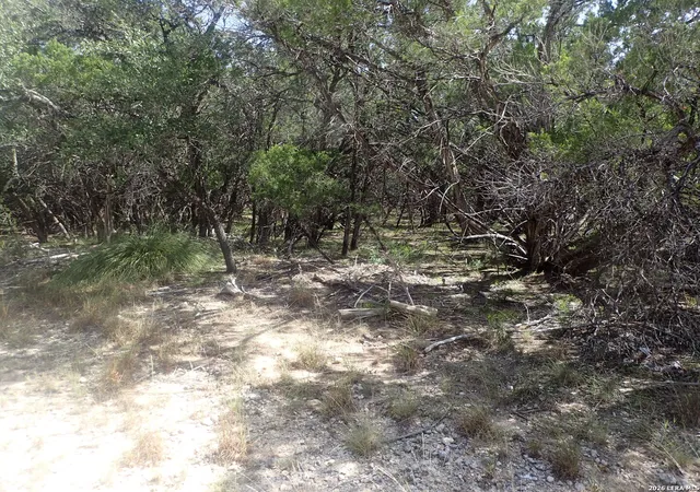 Photo 2 of Land for sale at 17 Mississippi, Lakehills, TX 78063 | MLS# 2017218 | Listing updated on 2026-09-28