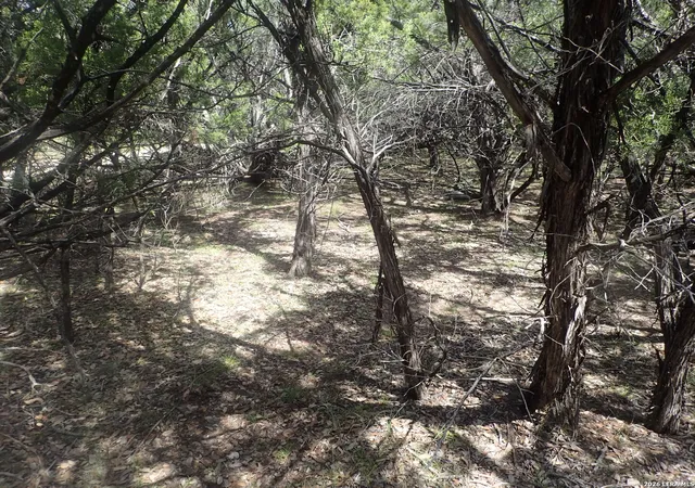 Photo 3 of Land for sale at 17 Mississippi, Lakehills, TX 78063 | MLS# 2017218 | Listing updated on 2026-09-28