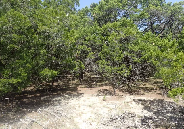 Photo 3 of Land for sale at 17 Mississippi, Lakehills, TX 78063 | MLS# 2017218 | Listing updated on 2026-09-28