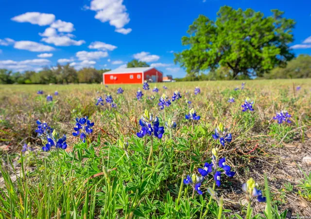 Photo 2 of Land for sale at 125 Headwaters Dr, Mountain Home, TX 78058 | MLS# 2017520 | Listing updated on 2026-09-29