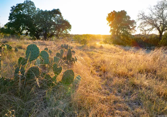 Photo 1 of Land for sale at 209 Rocky Holw Rd, San Saba, TX 76877 | MLS# 2017757 | Listing updated on 2026-09-29
