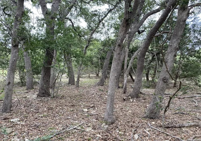 Photo 2 of Land for sale at 42 Rust Ln, Boerne, TX 78006 | MLS# 2018209 | Listing updated on 2026-09-29