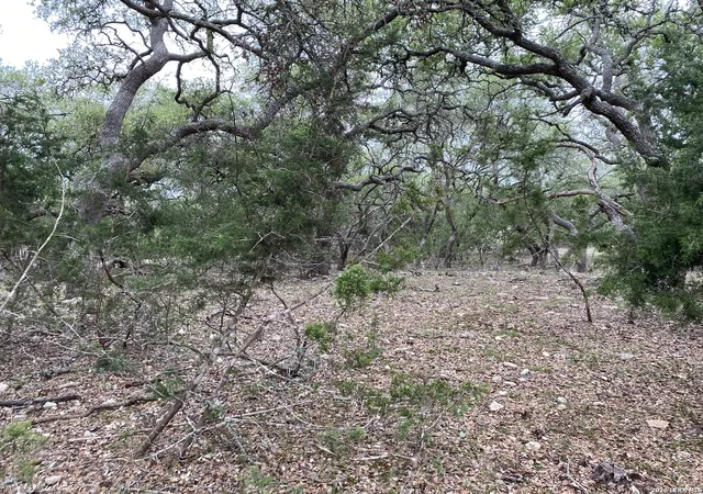 Photo 3 of Land for sale at 42 Rust Ln, Boerne, TX 78006 | MLS# 2018209 | Listing updated on 2026-09-29