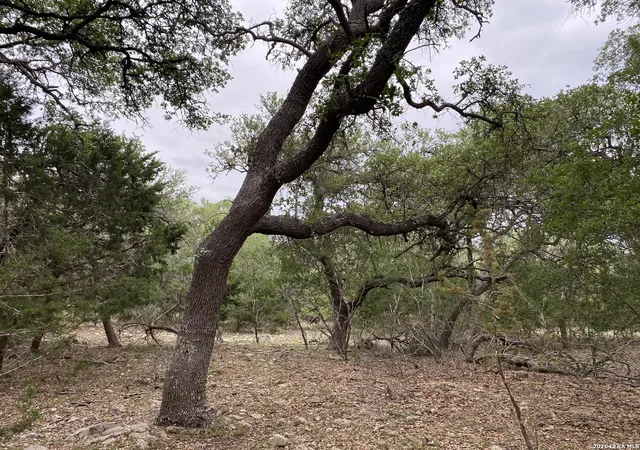 Photo 4 of Land for sale at 42 Rust Ln, Boerne, TX 78006 | MLS# 2018209 | Listing updated on 2026-09-29
