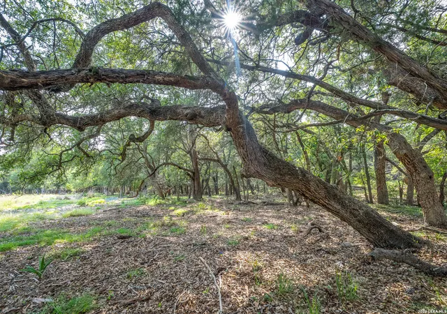 Land for sale at 9918 Kopplin Rd, New Braunfels, TX 78132 | MLS# 2018215