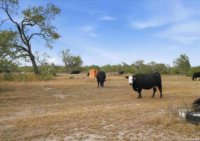Photo 2 of House for sale at 1991 S Hwy 37 Access, Three Rivers, TX 78071 | MLS# 2025967 | Listing updated on 2026-10-24