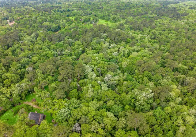 Photo 4 of Land for sale at 17960 Dogwood Dr, Conroe, TX 77303 | MLS# 42291315 | Listing updated on 2026-09-10