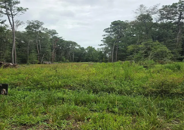 Photo 2 of Land for sale at 0 N Westwood, Conroe, TX 77302 | MLS# 69886803 | Listing updated on 2026-09-03