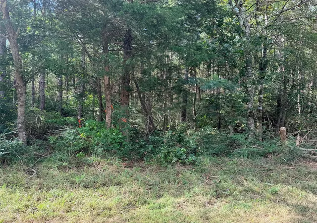 Photo 1 of Land for sale at Tbd Fm 943 3 Acres, Livingston, TX 77351 | MLS# 40349967 | Listing updated on 2026-09-10