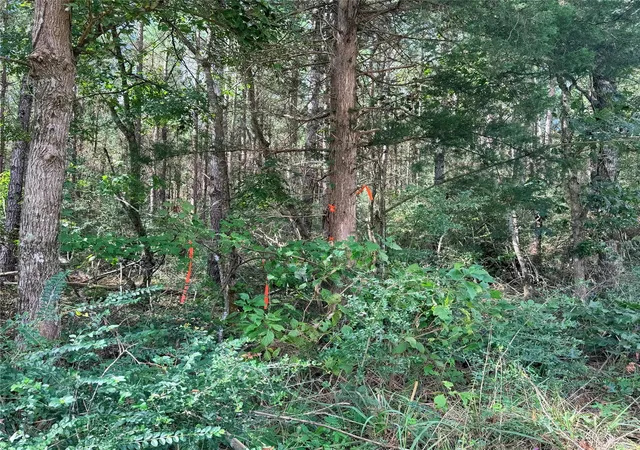 Photo 2 of Land for sale at Tbd Fm 943 3 Acres, Livingston, TX 77351 | MLS# 40349967 | Listing updated on 2026-09-10