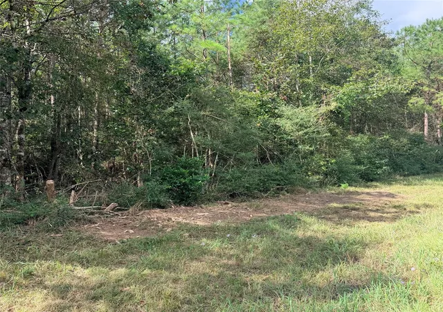 Photo 3 of Land for sale at Tbd Fm 943 3 Acres, Livingston, TX 77351 | MLS# 40349967 | Listing updated on 2026-09-10