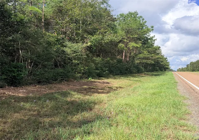 Photo 3 of Land for sale at Tbd Fm 943 3 Acres, Livingston, TX 77351 | MLS# 40349967 | Listing updated on 2026-09-10