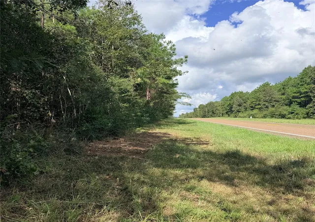 Photo 4 of Land for sale at Tbd Fm 943 3 Acres, Livingston, TX 77351 | MLS# 40349967 | Listing updated on 2026-09-10