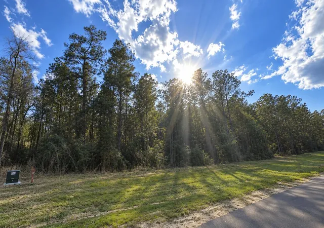 Photo 3 of Land for sale at 12939 Oak Barrel Rd, Willis, TX 77378 | MLS# 78451286 | Listing updated on 2026-10-03