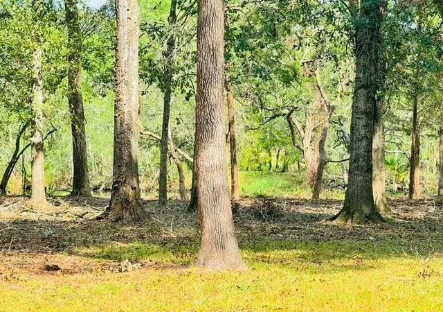 Photo 4 of Single family home for sale at 1110 Turner Dr, Bridge City, TX 77611 | MLS# 39548824 | Listing updated on 2026-09-19