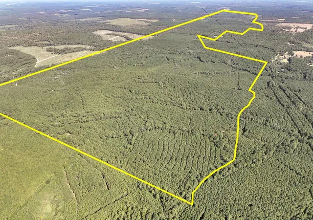 Photo 1 of Land for sale at T 2 Cr 2150, Woodville, TX 75979 | MLS# 66657273 | Listing updated on 2026-08-31