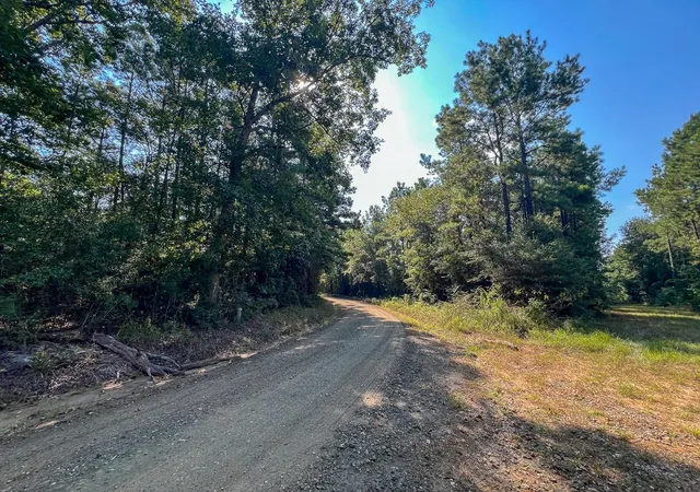 Photo 4 of Land for sale at T-2 Cr 2150, Woodville, TX 75979 | MLS# 66657273 | Listing updated on 2026-08-31