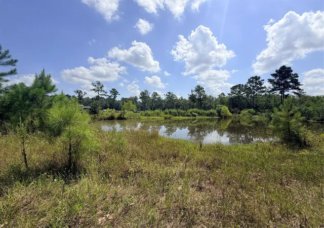 Photo 2 of Land for sale at 385 County Rd 3773, Cleveland, TX 77327 | MLS# 59232248 | Listing updated on 2026-09-12