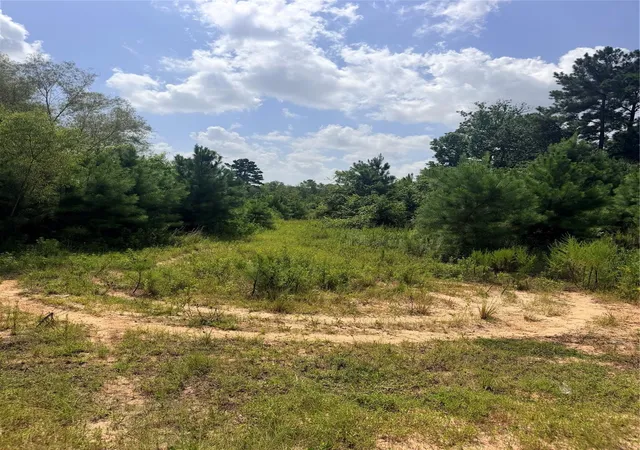Photo 3 of Land for sale at 385 County Rd 3773, Cleveland, TX 77327 | MLS# 59232248 | Listing updated on 2026-09-12