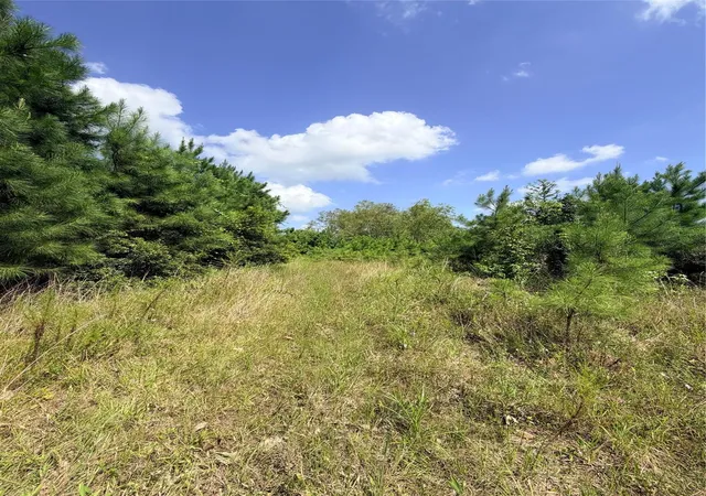 Photo 4 of Land for sale at 385 County Rd 3773, Cleveland, TX 77327 | MLS# 59232248 | Listing updated on 2026-09-12