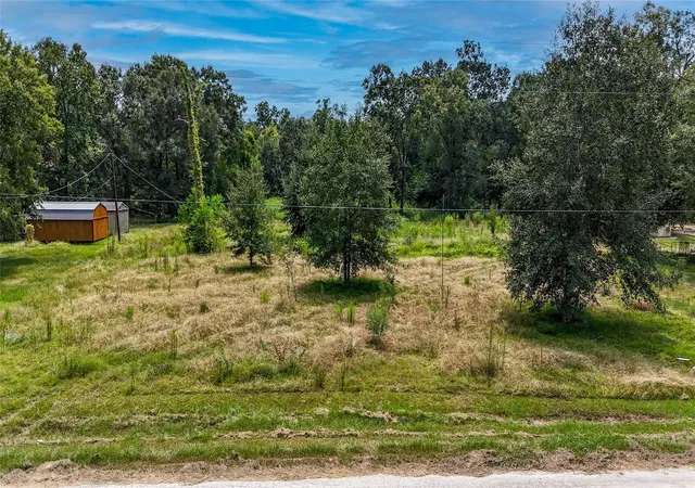 Photo 2 of Land for sale at 183 County Rd 436, Dayton, TX 77535 | MLS# 98557603 | Listing updated on 2026-10-05
